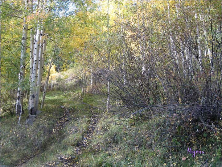 011_aspen_05.jpg