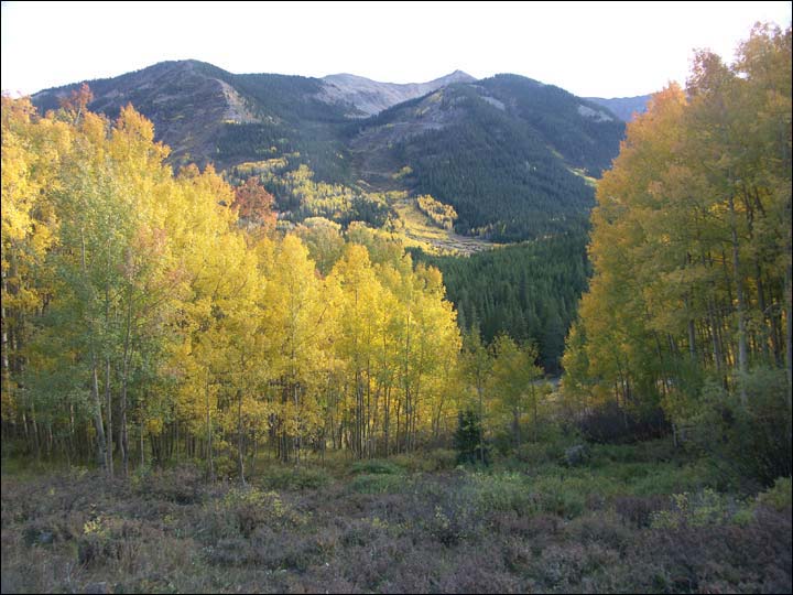 016_aspen_05.jpg