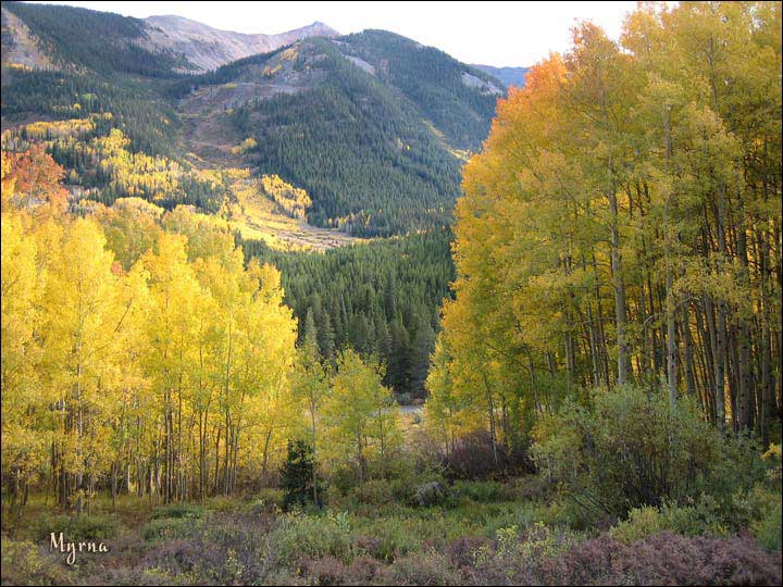 017_aspen_05.jpg