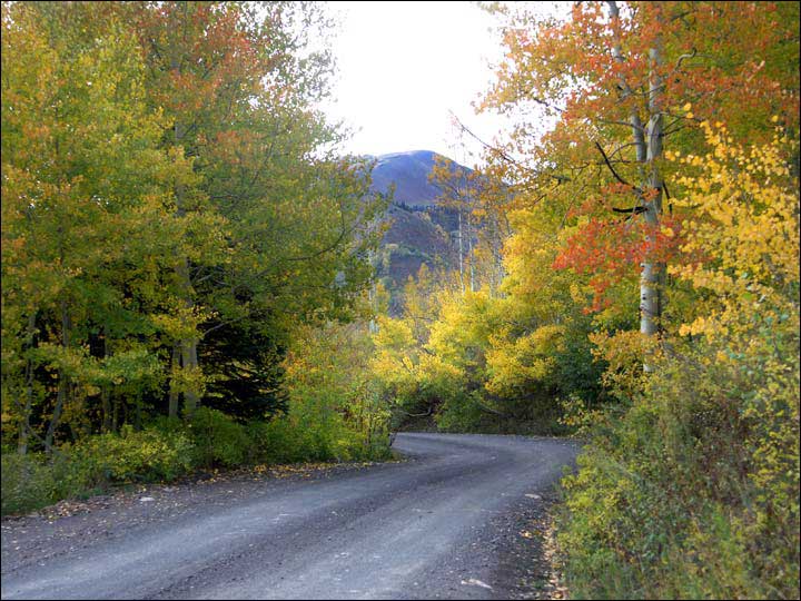 022_aspen_05.jpg