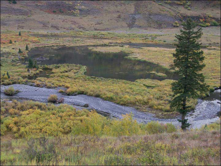 023_aspen_05.jpg