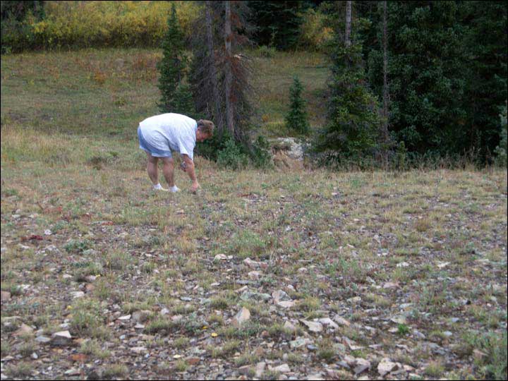 035_aspen_05.jpg