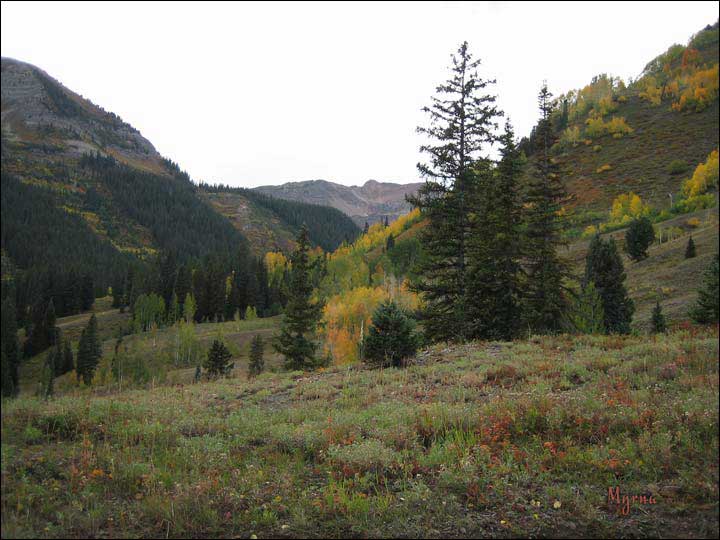 039_aspen_05.jpg