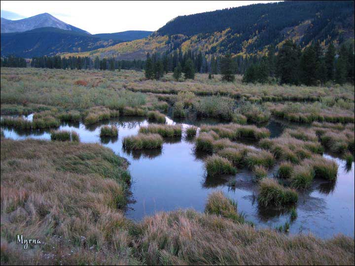 040_aspen_05.jpg
