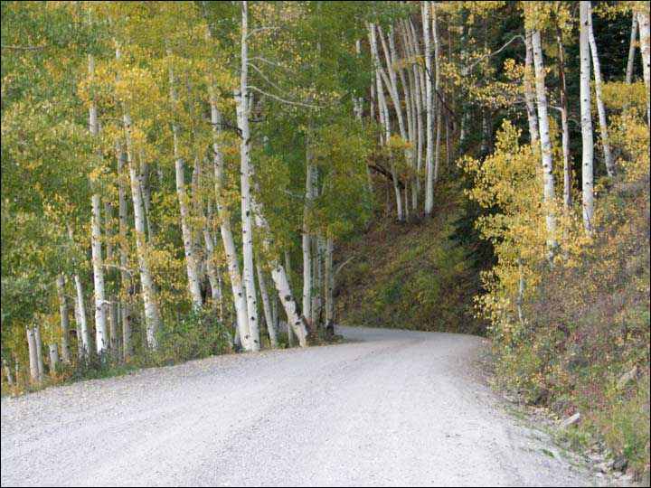 042_aspen_05.jpg