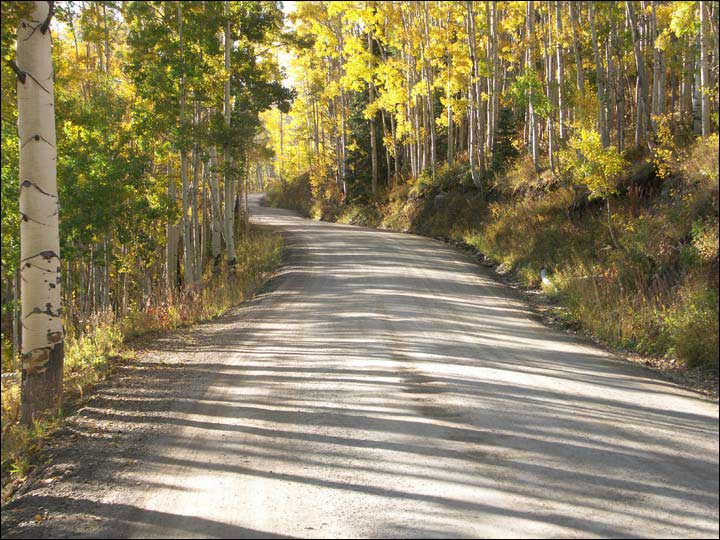 046_aspen_05.jpg
