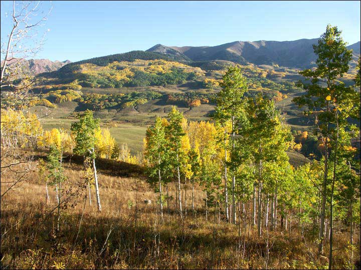 047_aspen_05.jpg
