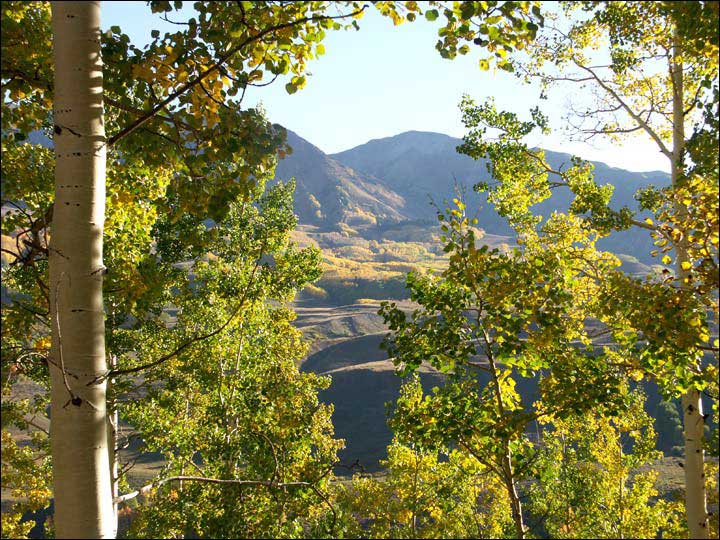 052_aspen_05.jpg