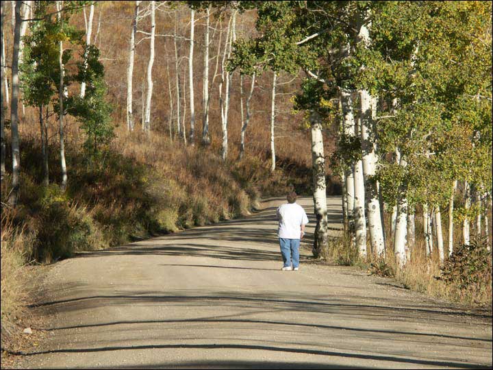 054_aspen_05.jpg