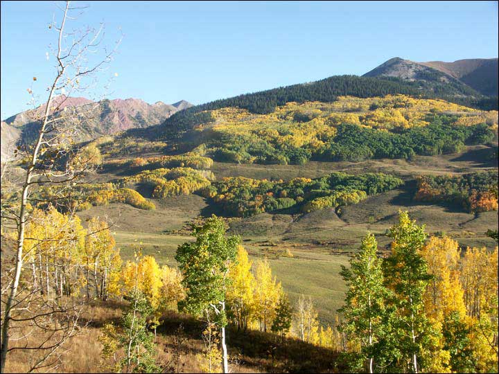 055_aspen_05.jpg
