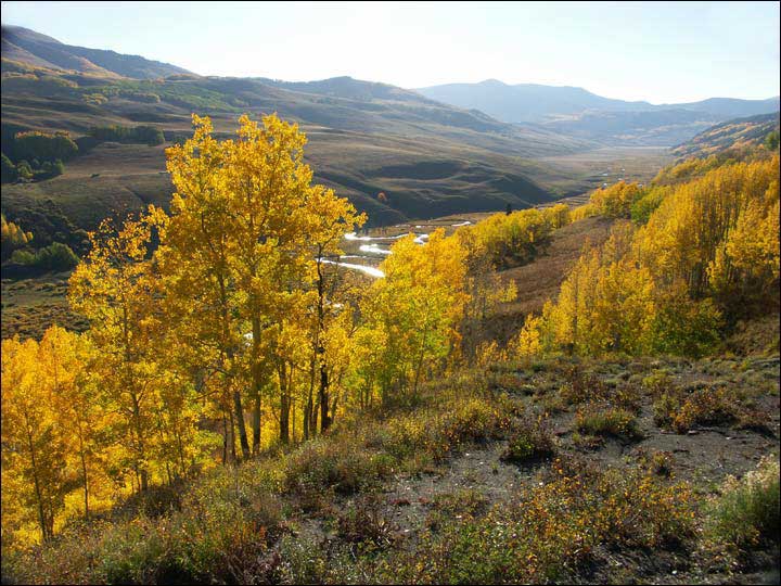 059_aspen_05.jpg