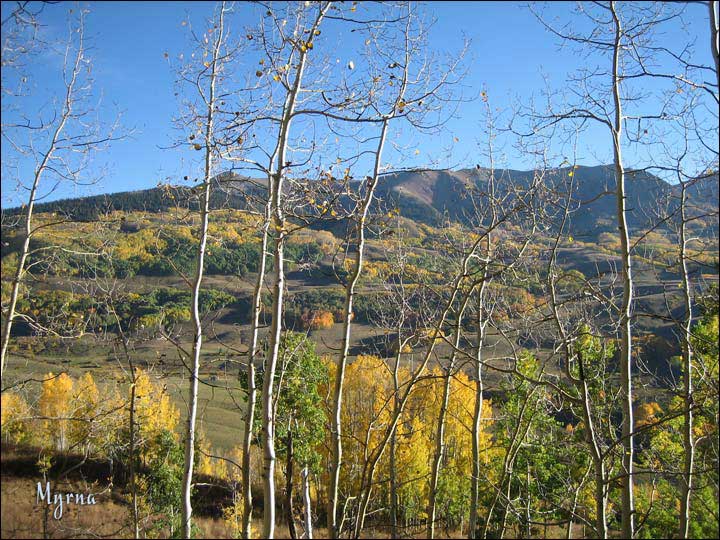 063_aspen_05.jpg