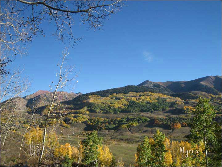 064_aspen_05.jpg