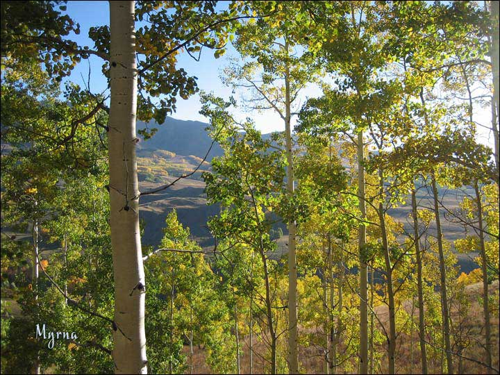 065_aspen_05.jpg