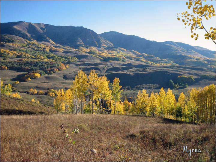 066_aspen_05.jpg