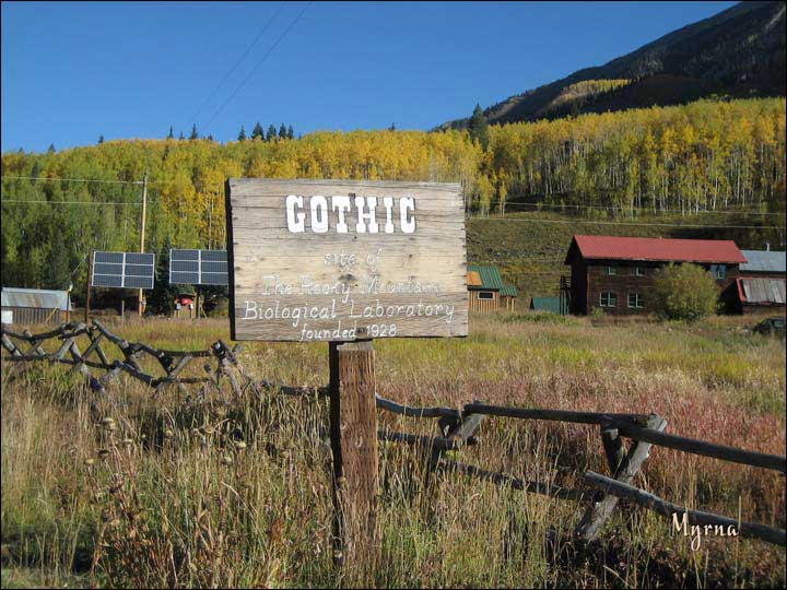 067_aspen_05.jpg