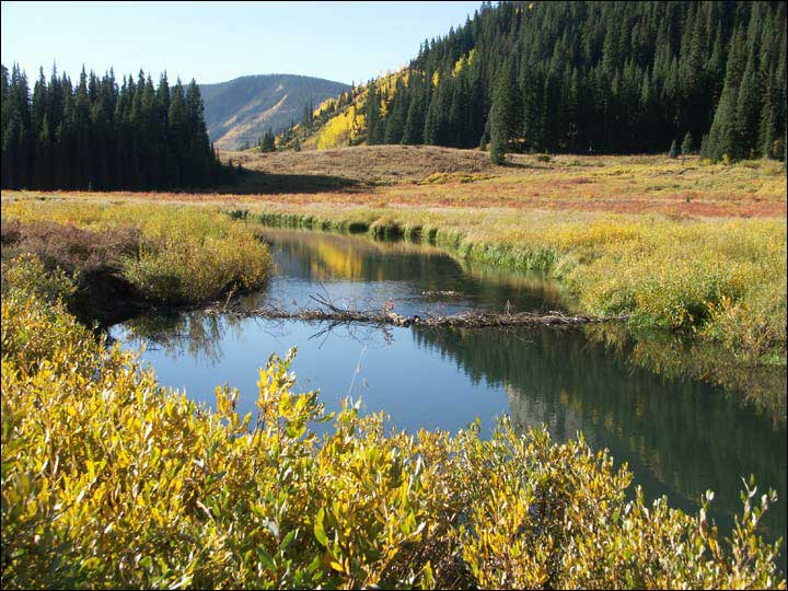 070_aspen_05.jpg