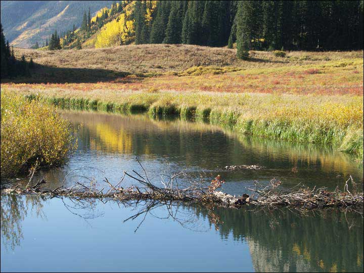 071_aspen_05.jpg