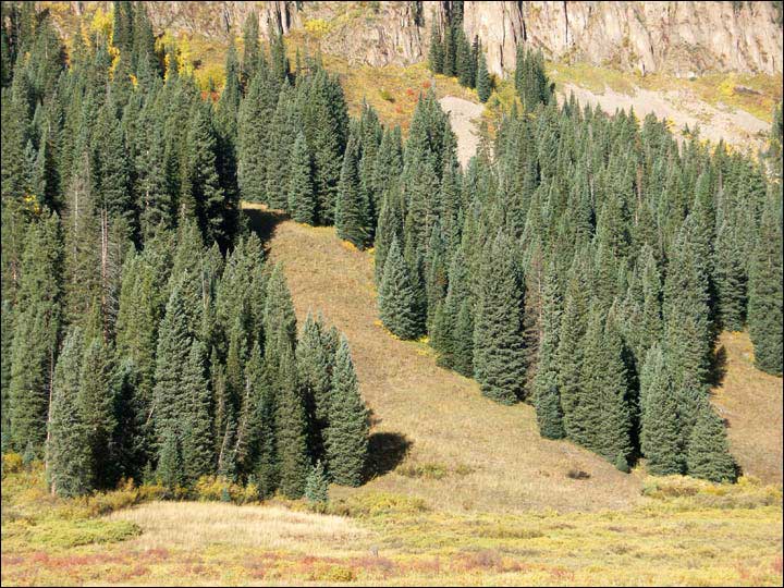 075_aspen_05.jpg