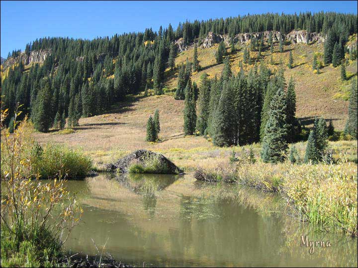 076_aspen_05.jpg