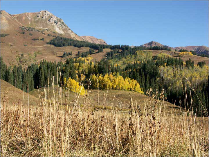 077_aspen_05.jpg