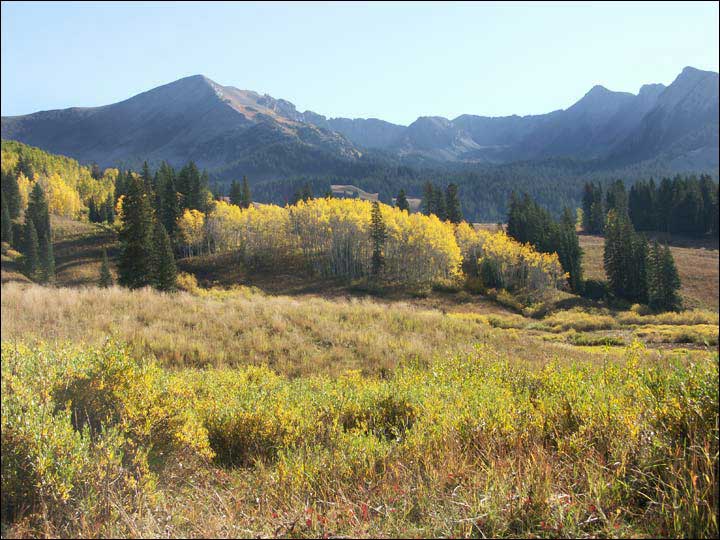 078_aspen_05.jpg