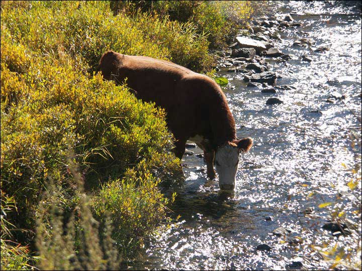 079_aspen_05.jpg