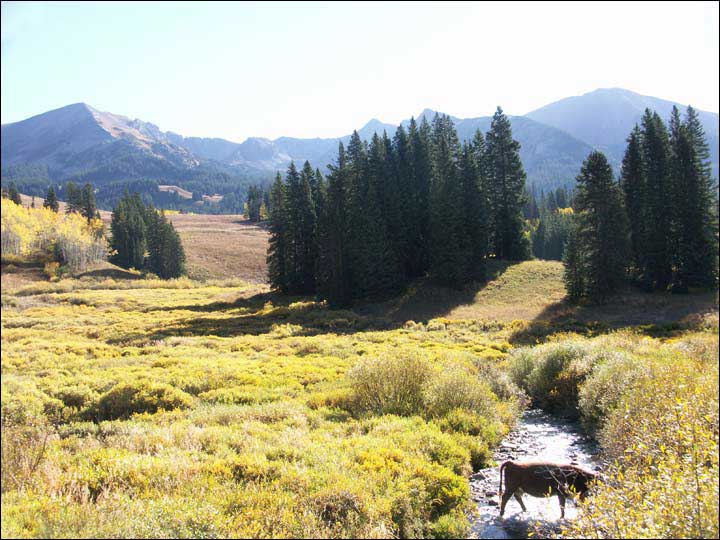 080_aspen_05.jpg