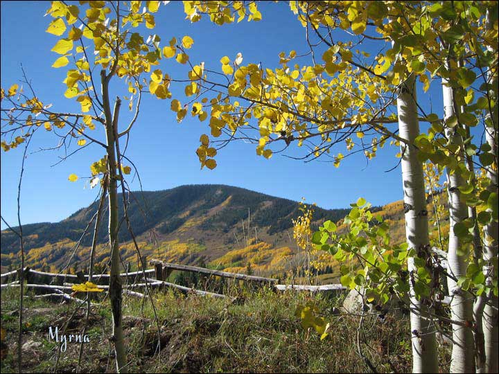081_aspen_05.jpg