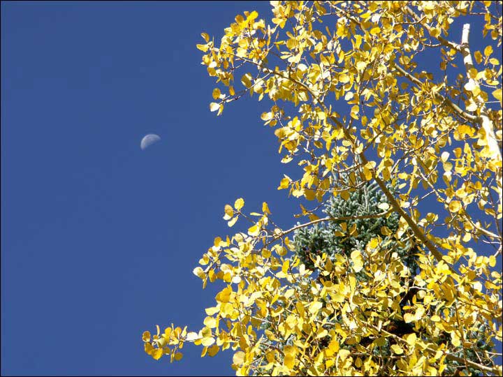 086_aspen_05.jpg