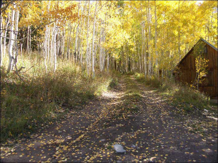 091_aspen_05.jpg