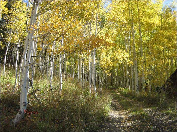 095_aspen_05.jpg