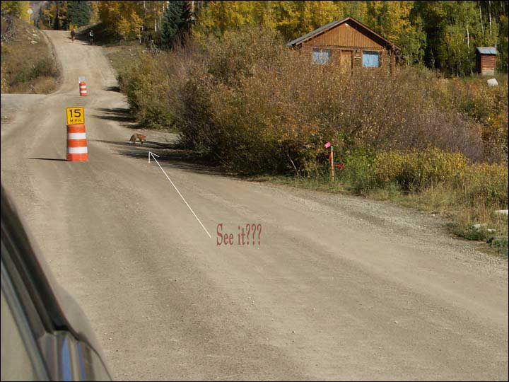 098_aspen_05.jpg