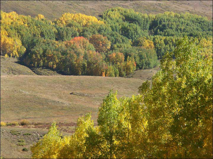106_aspen_05.jpg