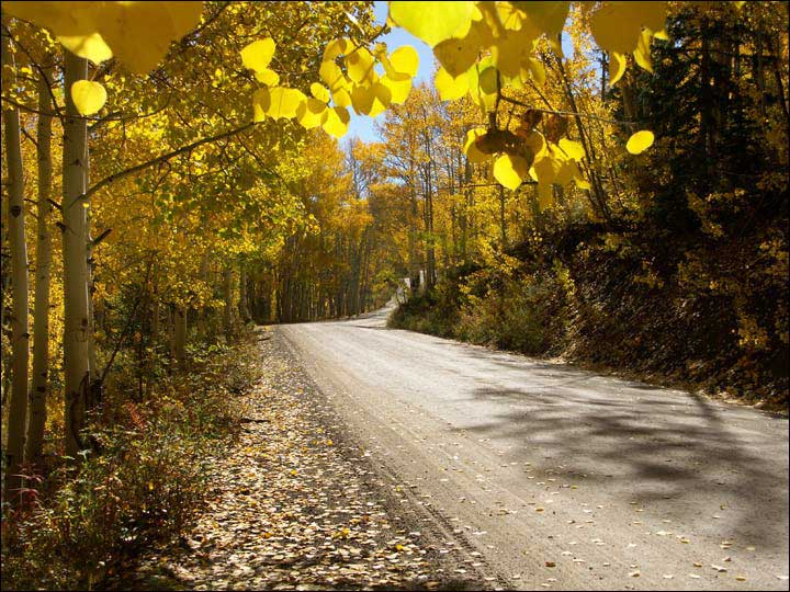 111_aspen_05.jpg