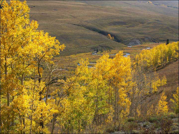 124_aspen_05.jpg