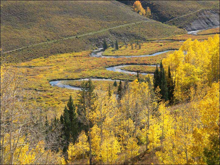 127_aspen_05.jpg