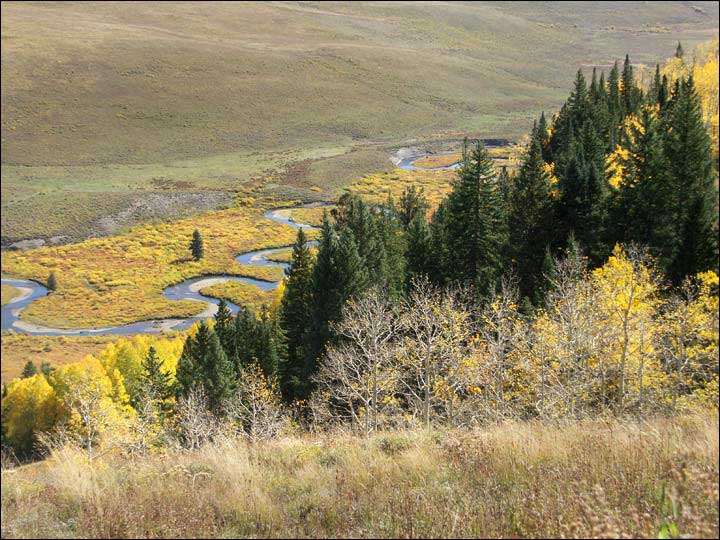 130_aspen_05.jpg