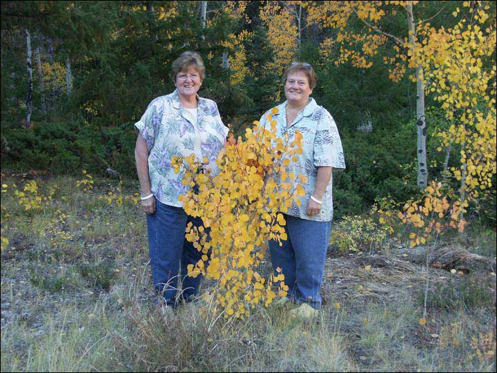 132_aspen_05.jpg