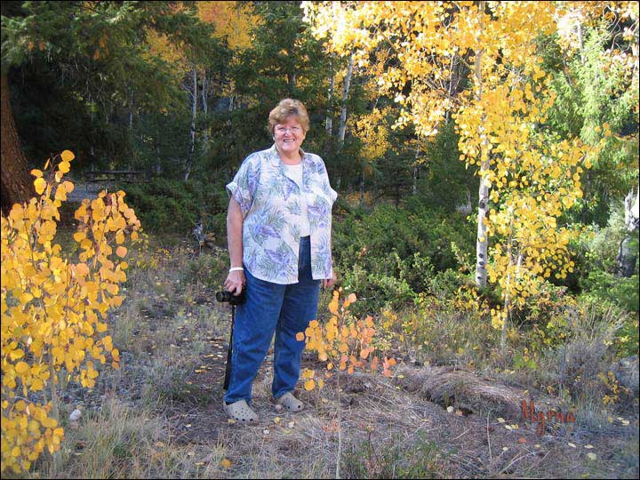134_aspen_05.jpg