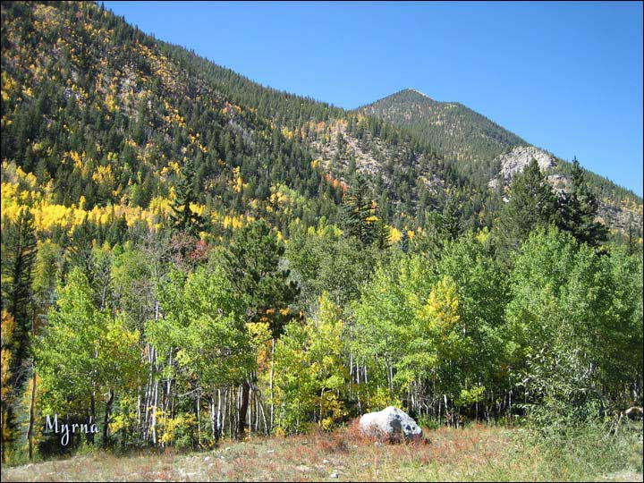 136_aspen_05.jpg