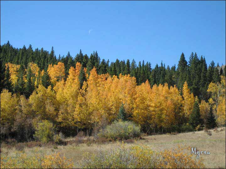 137_aspen_05.jpg