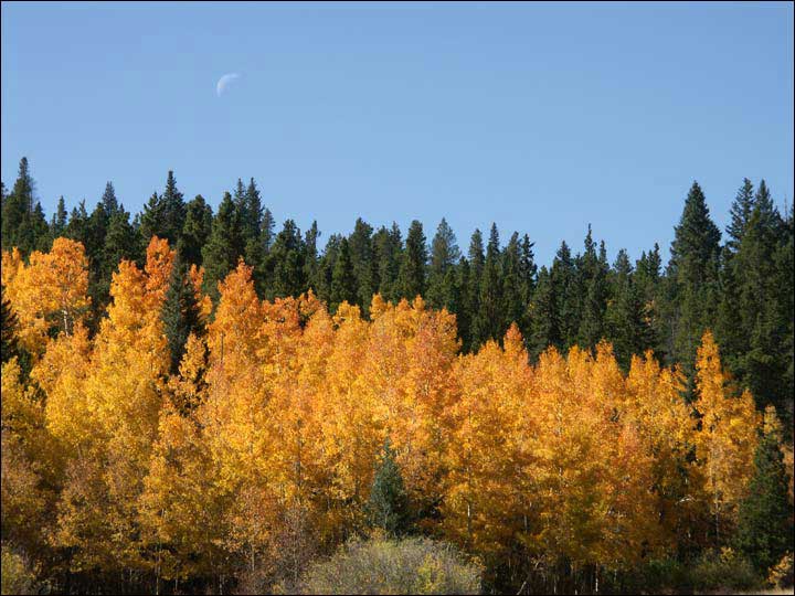 138_aspen_05.jpg