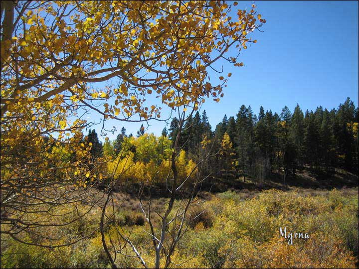 139_aspen_05.jpg