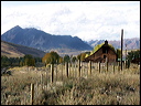 003_aspen_05