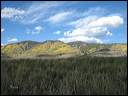 004_aspen_05