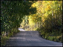 010_aspen_05