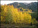 013_aspen_05