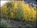 015_aspen_05