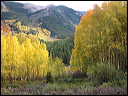 017_aspen_05
